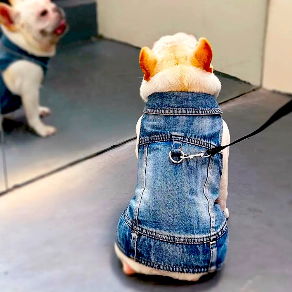 Small puppy denim vest
